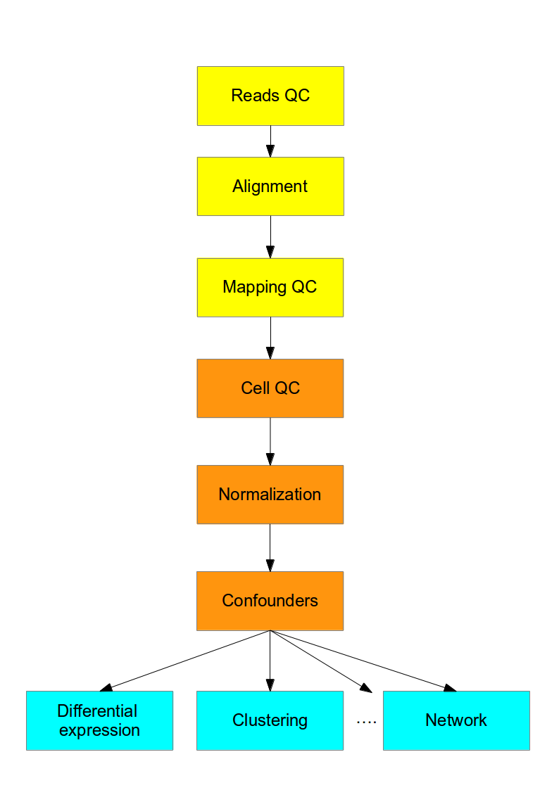 Flowchart of the scRNA-seq analysis