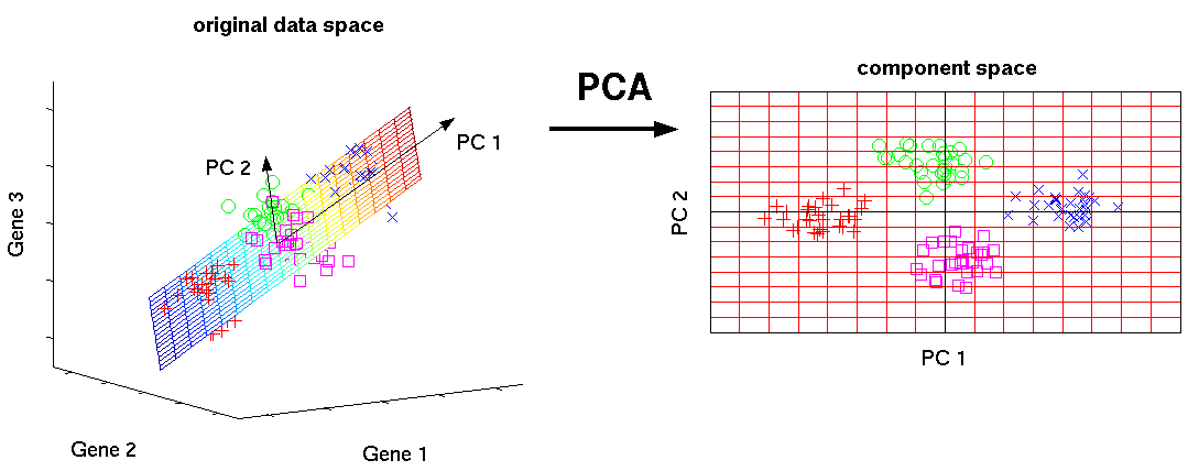 Schematic representation of PCA dimensionality reduction