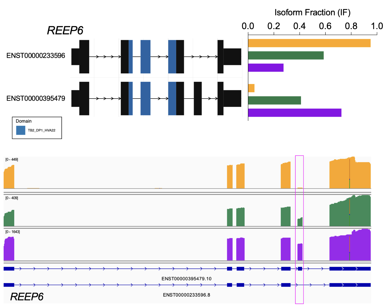 Example of temporally regulated isoform switching REEP6, a retinal disease gene