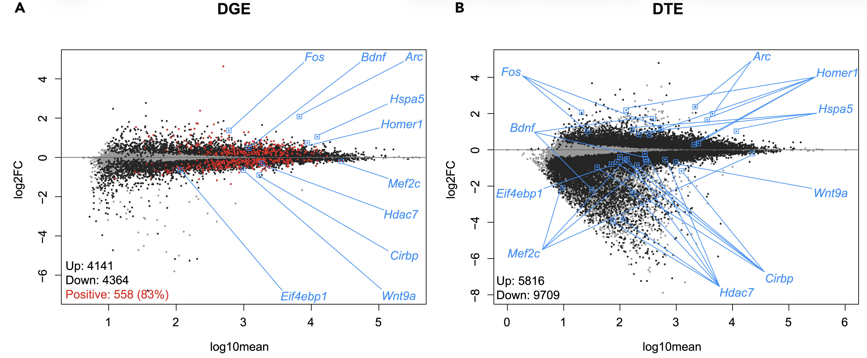 Sleep deprivation predominately represses transcription at the gene and transcript level