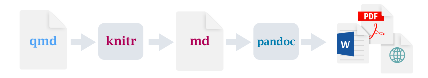 Workflow diagram starting with a qmd file, then knitr, then md, then pandoc, then PDF, MS Word, or HTML.